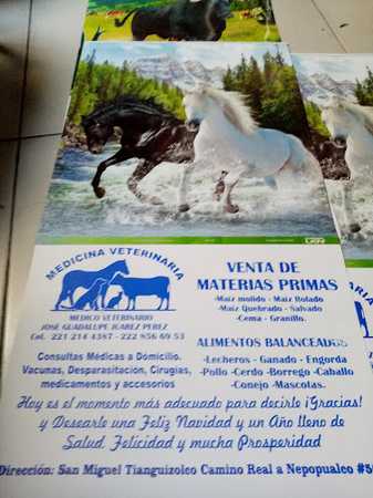 Fotografia tomada fuera de IMPRENTA ATRACCION VISUAL DISEÑO Y PUBLICIDAD - Imprenta en Huejotzingo, Pue.